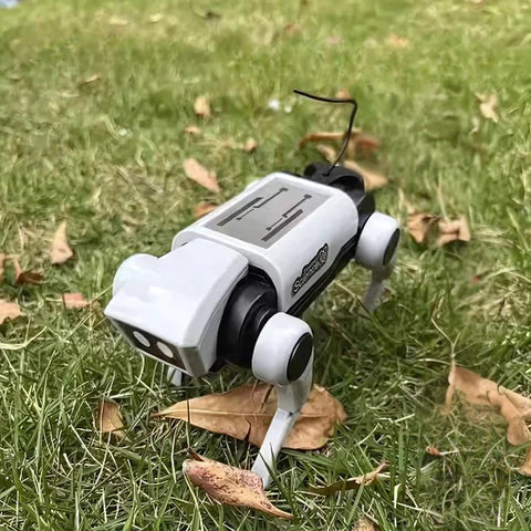 Smart RoboCat moving on grass in the park.